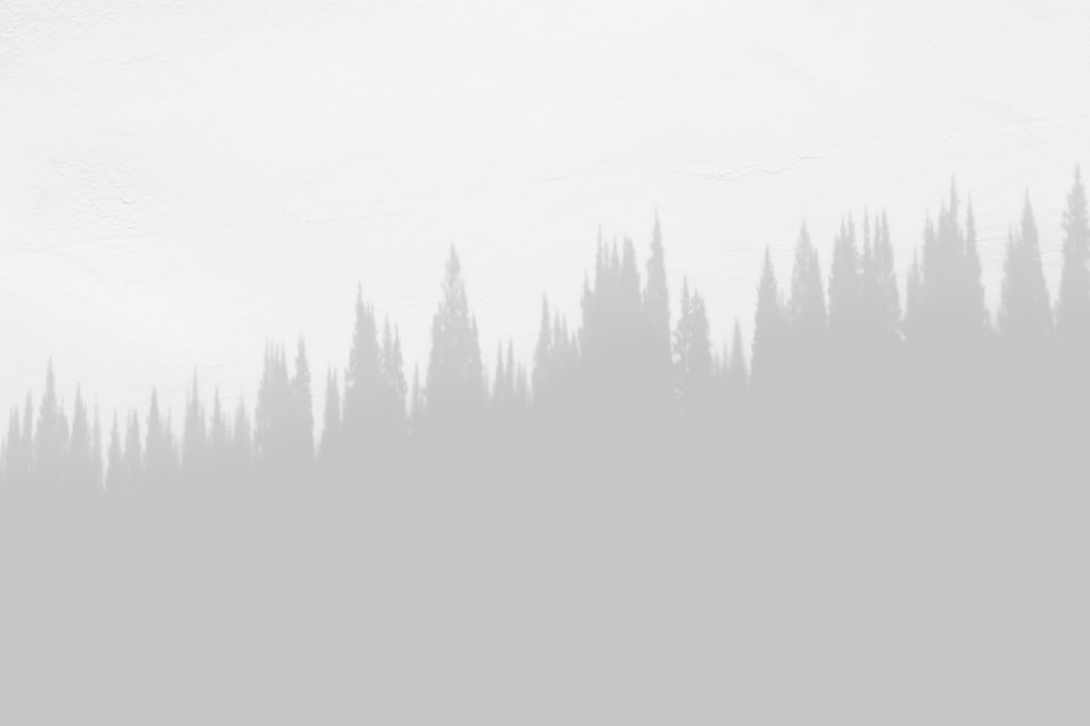 Demo media 1711579833 Demo media 1711579833
